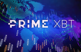 Comprehensive Guide to PrimeXBT FAQ Your Questions Answered